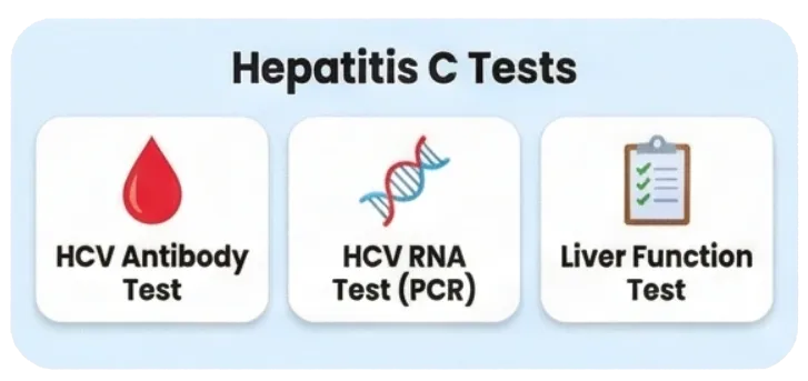 Hepatitis C Test